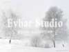 Evbar Studio. Зимы опрятная пора